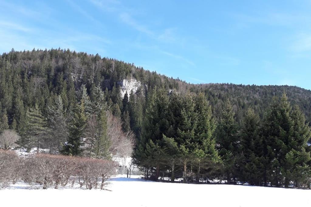 Duplex 59M2 - Proche Centre - Balcon Plein Sud Appartement Corrençon-en-Vercors Buitenkant foto