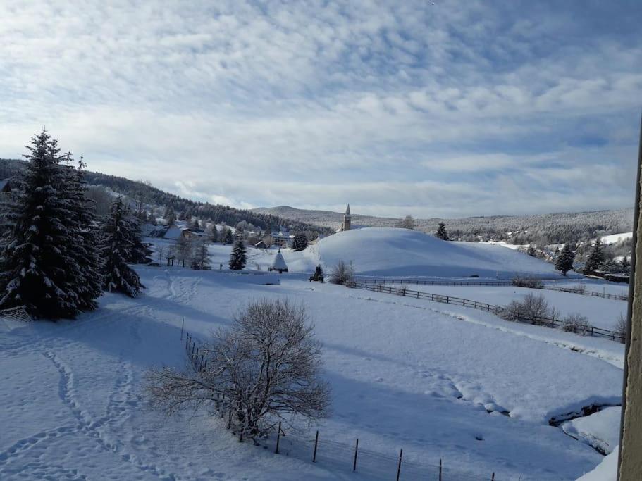 Duplex 59M2 - Proche Centre - Balcon Plein Sud Appartement Corrençon-en-Vercors Buitenkant foto