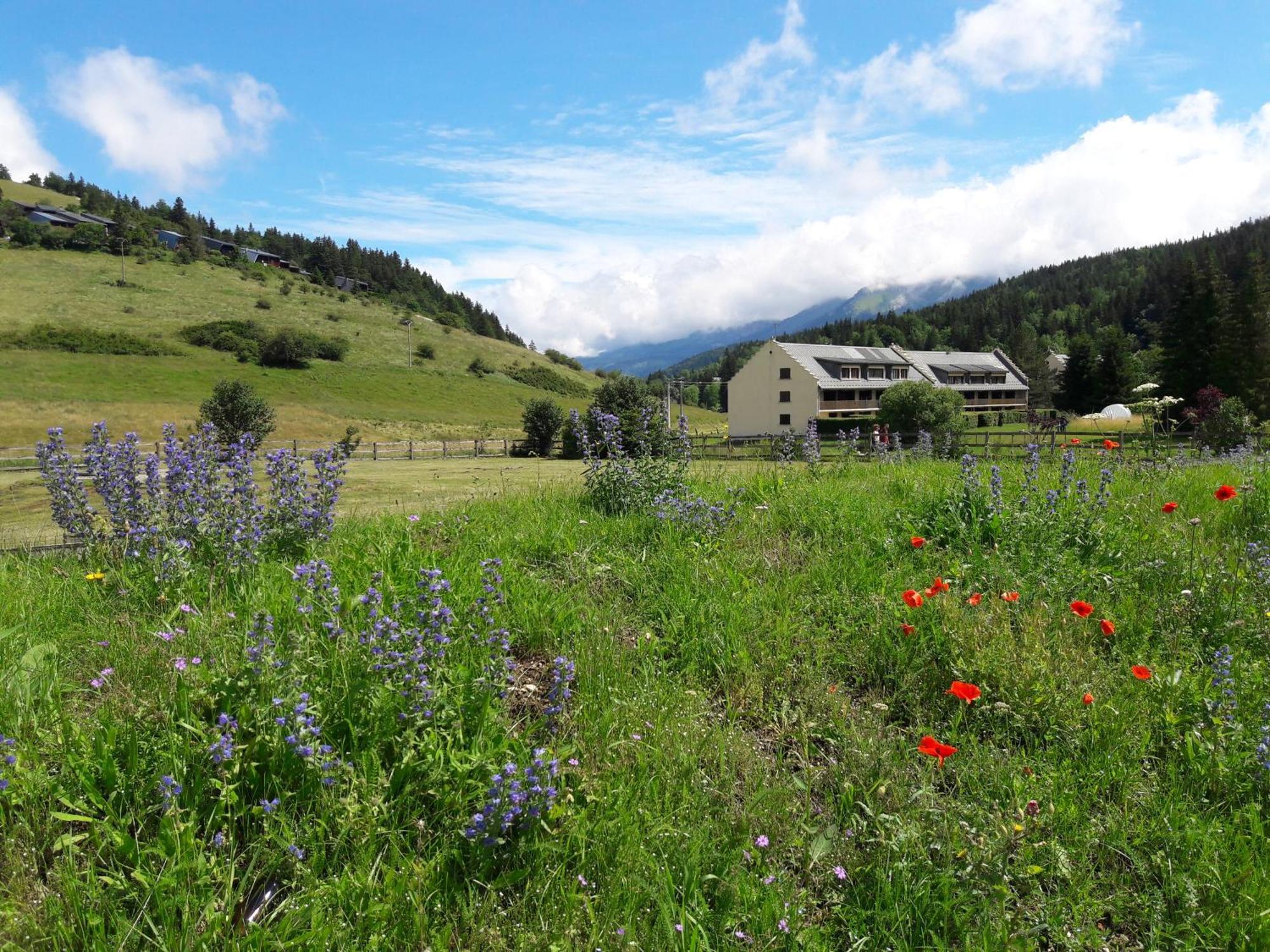 Duplex 59M2 - Proche Centre - Balcon Plein Sud Appartement Corrençon-en-Vercors Buitenkant foto